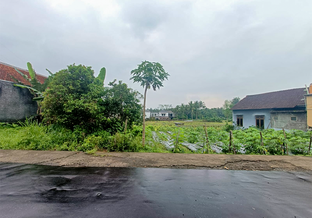 TANAH DI KAB. TEMANGGUNG - WOFF5103-8 - foto utama